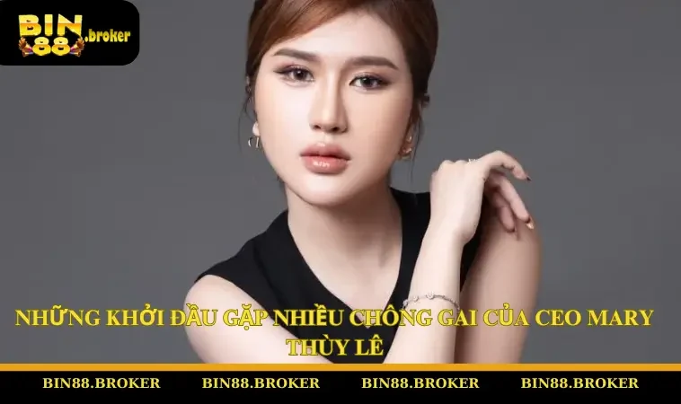 Những khởi đầu gặp nhiều chông gai của CEO Mary Thùy Lê