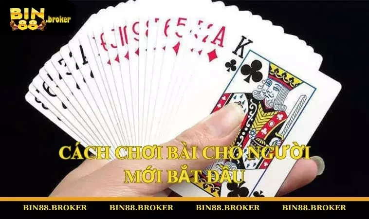 Cách Chơi Bài Cho Người Mới Bắt Đầu – Các Bước Dễ Hiểu, Chiến Thắng Nhanh